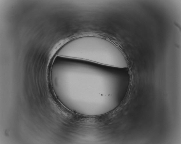 X0000103490104200809120959