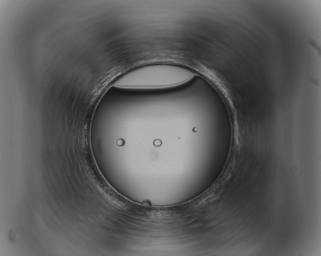 X0000103490105200809120959