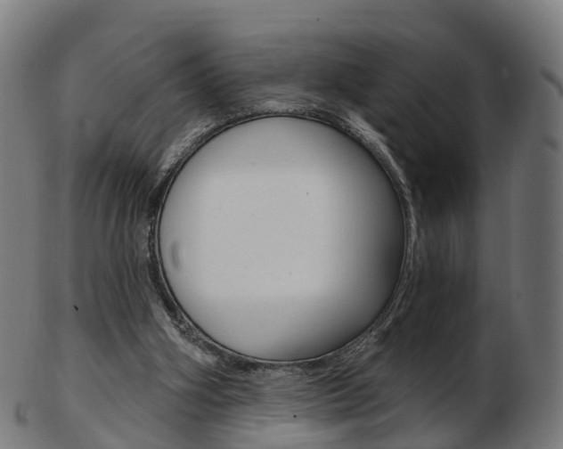 X0000103490106200809120959