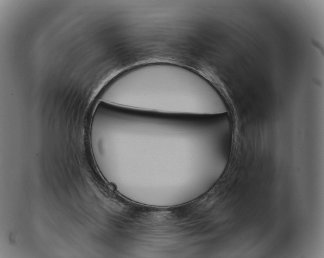 X0000103490108200809120959