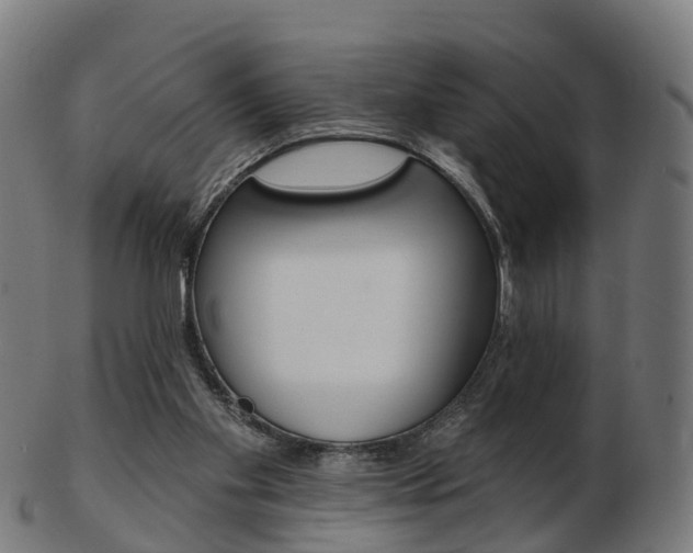 X0000103490109200809120959