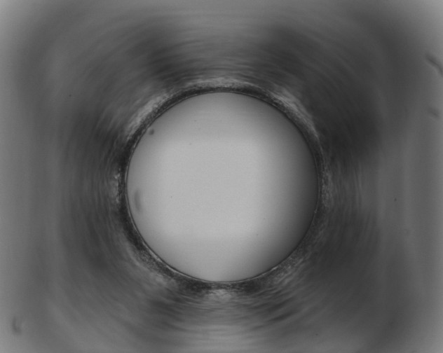 X0000103490111200809120959