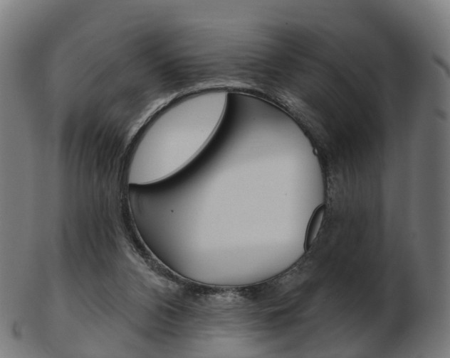 X0000103490112200809120959