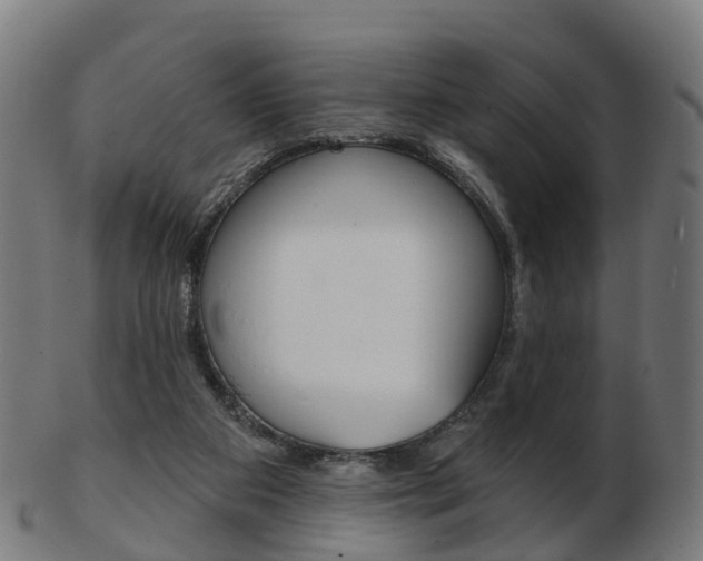 X0000103490113200809120959