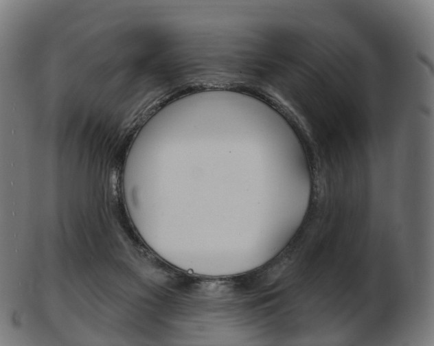 X0000103490117200809120959