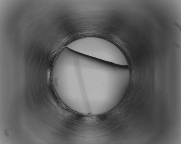 X0000103490118200809120959