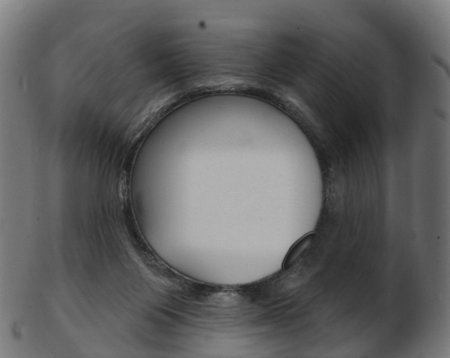 X0000103490119200809120959