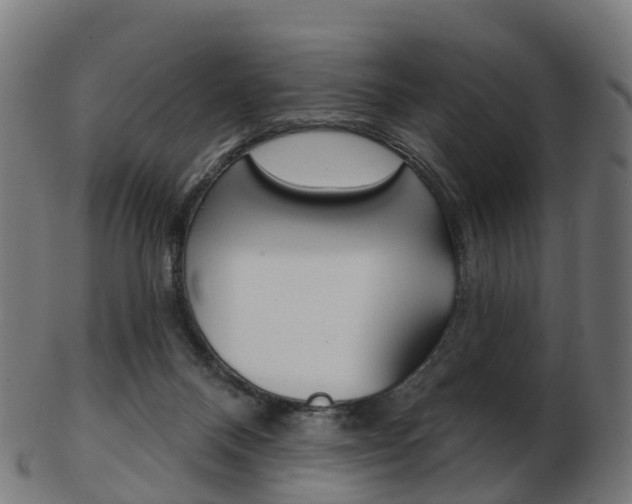 X0000103490120200809120958