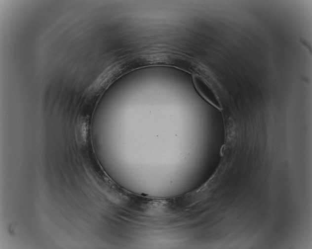 X0000103490124200809120958