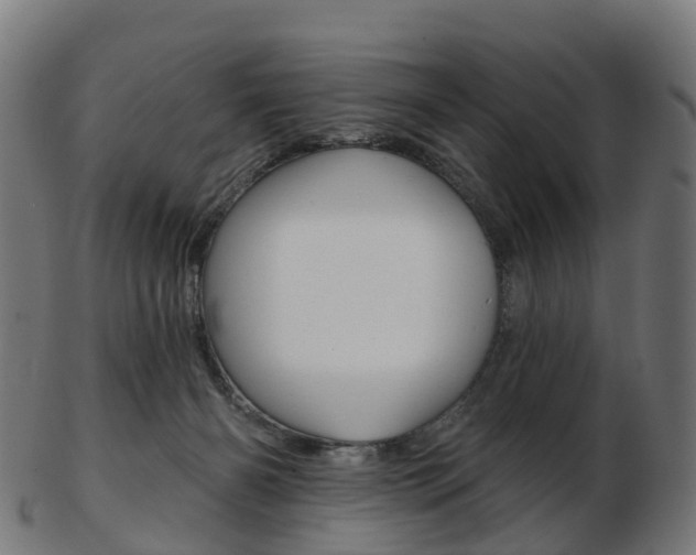 X0000103490126200809120958