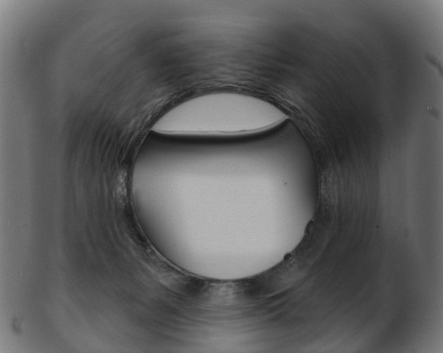 X0000103490127200809120958