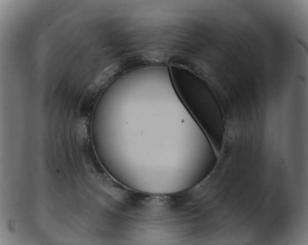 X0000103490128200809120958