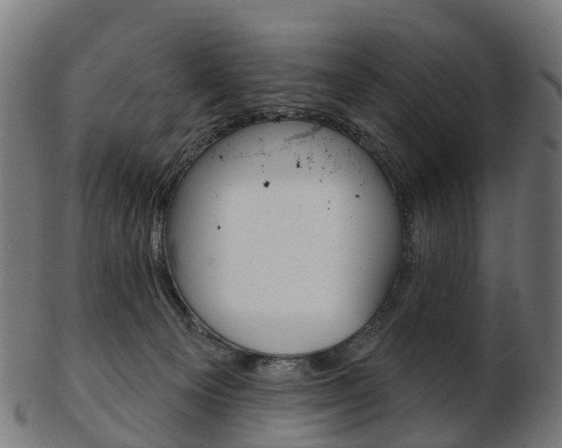 X0000103490129200809120958