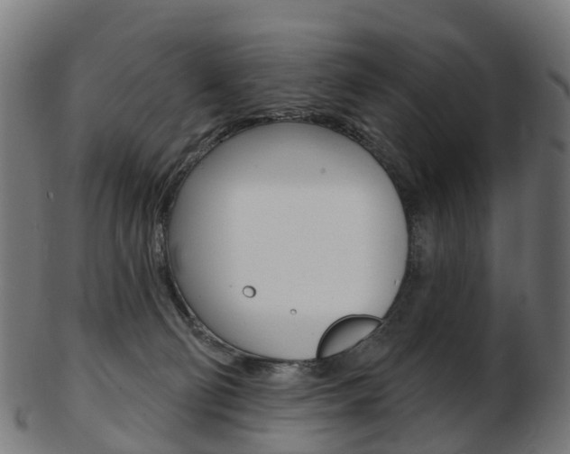 X0000103490130200809120958