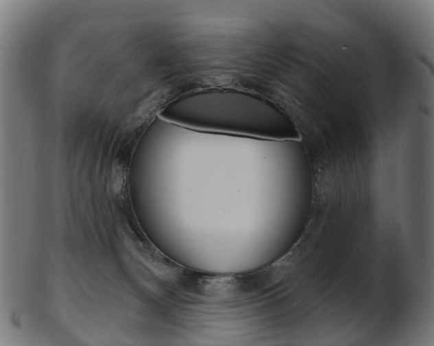 X0000103490132200809120958