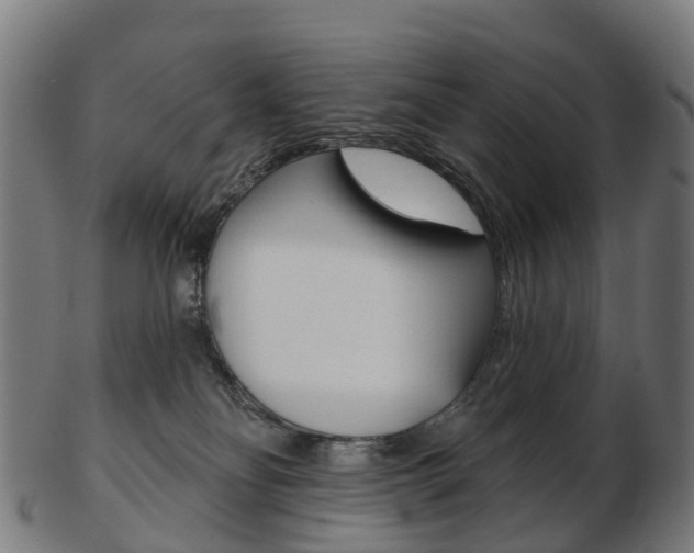 X0000103490134200809120958