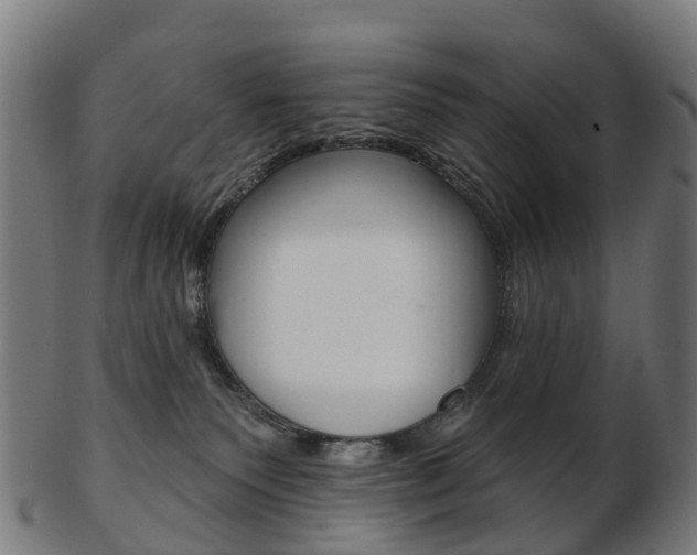 X0000103490135200809120958
