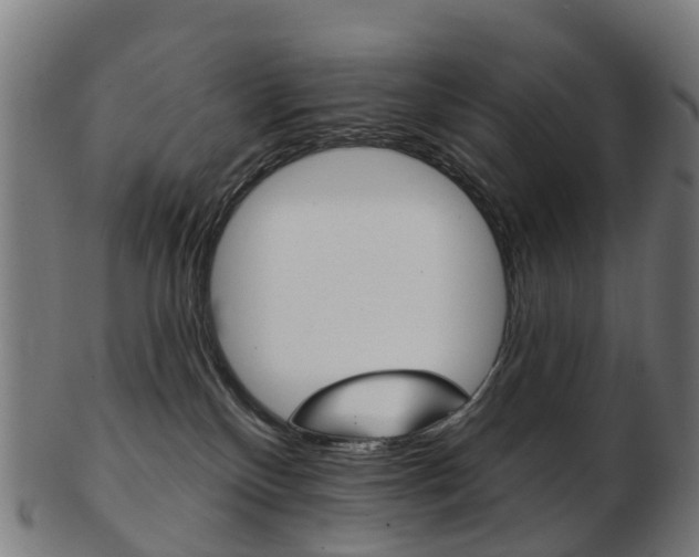 X0000103490136200809120958