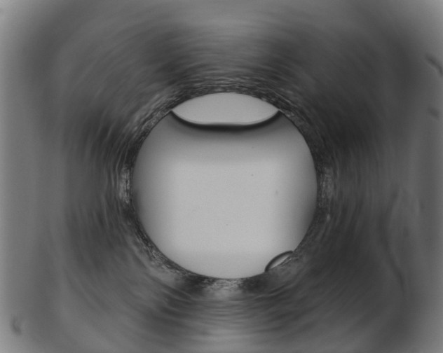 X0000103490138200809120958