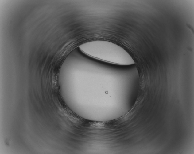 X0000103490140200809120958