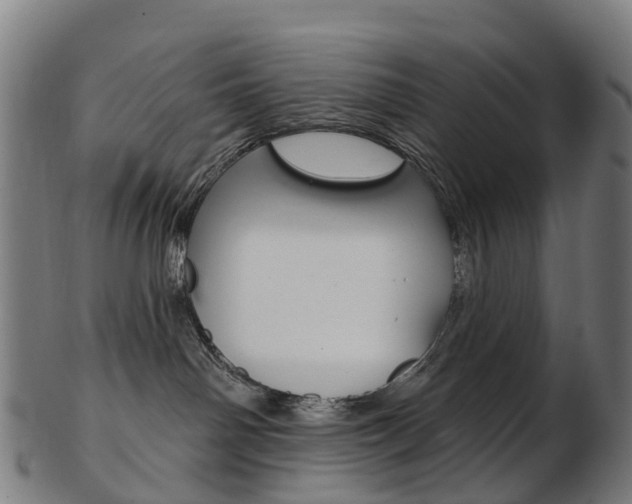 X0000103490142200809120958