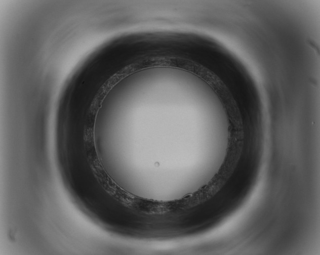 X0000103490143200809120958