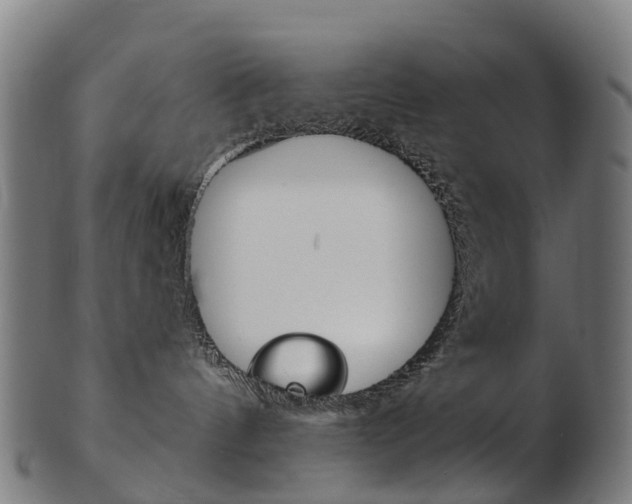 X0000103490144200809120958