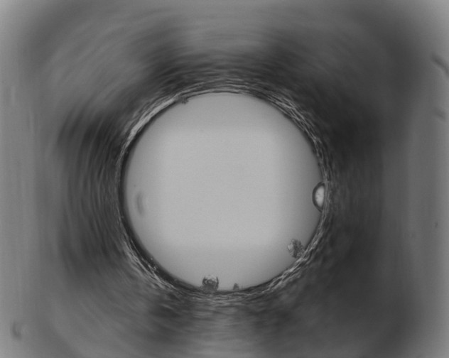 X0000103490146200809120958