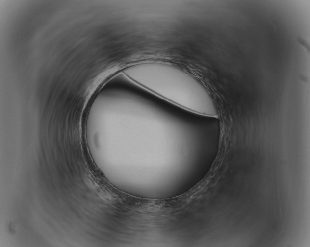 X0000103490148200809120958