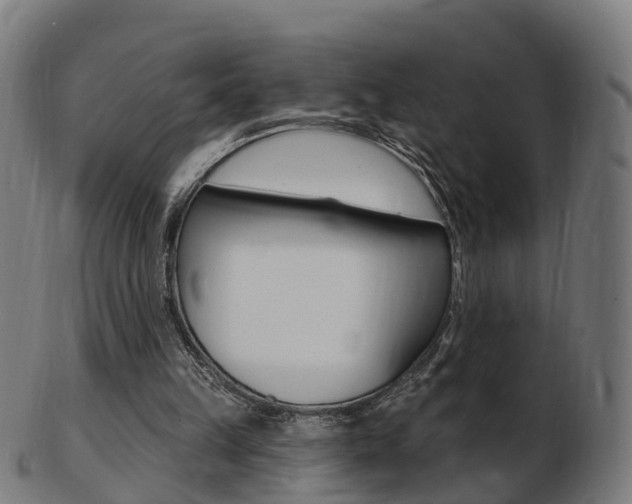 X0000103490149200809120958