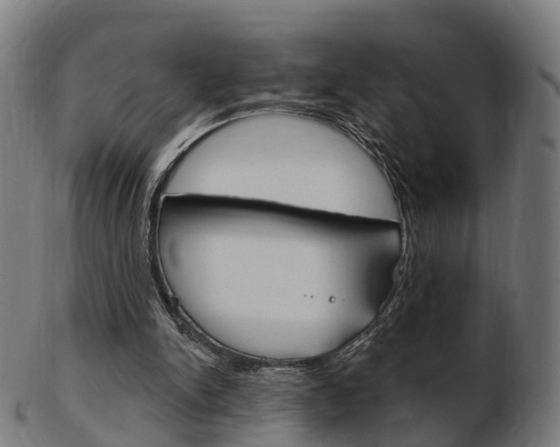 X0000103490150200809120958