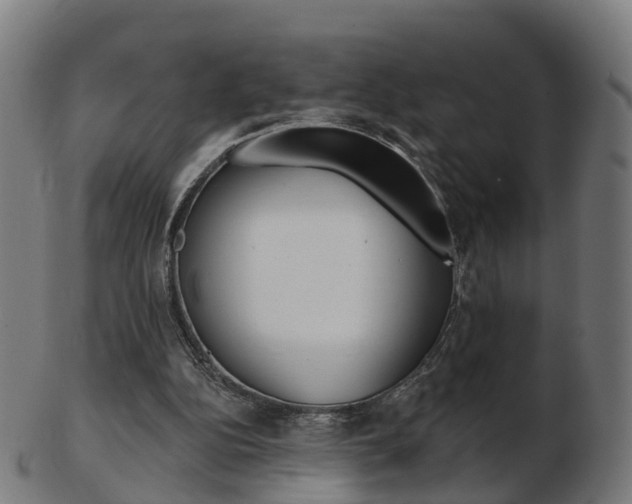 X0000103490152200809120958
