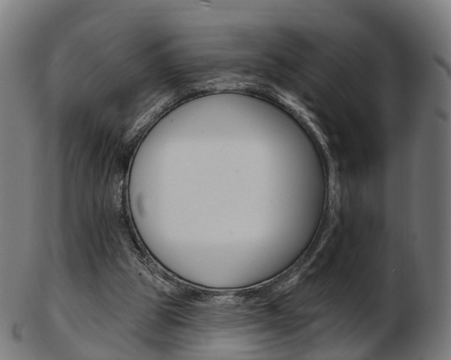 X0000103490153200809120958