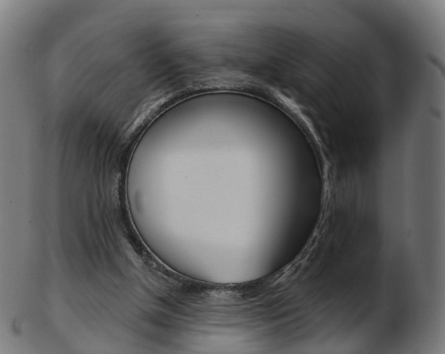 X0000103490154200809120958