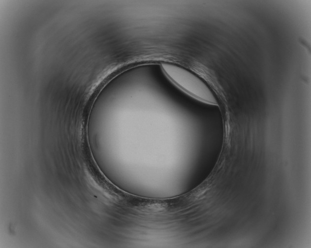 X0000103490156200809120958
