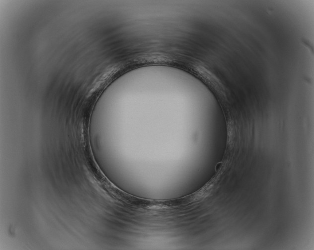 X0000103490158200809120958