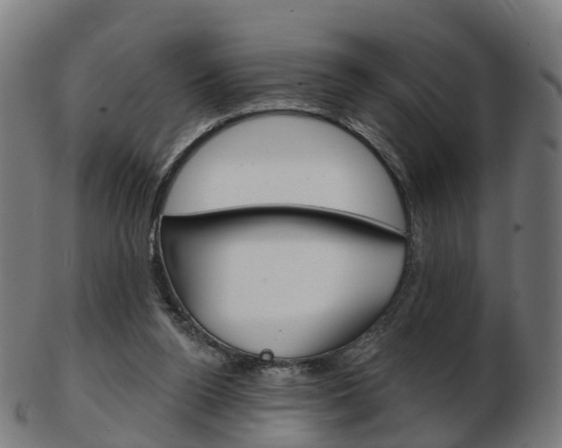 X0000103490160200809120958