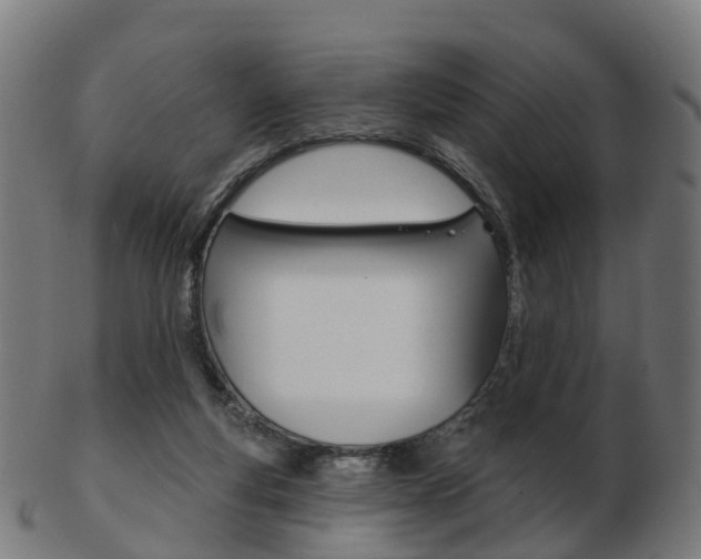 X0000103490163200809120958