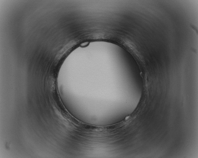 X0000103490164200809120958