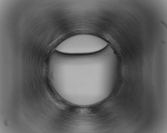 X0000103490165200809120958