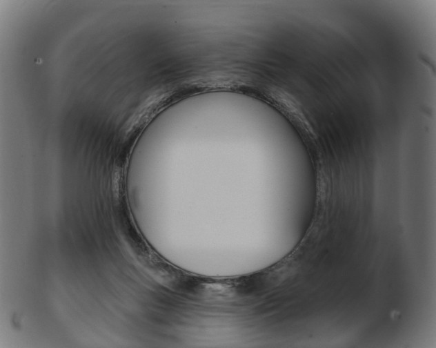 X0000103490167200809120958