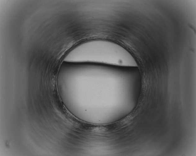 X0000103490168200809120958