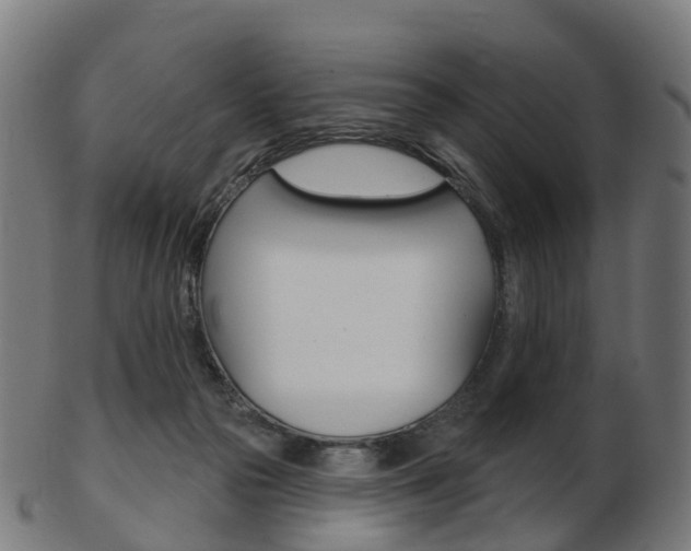 X0000103490169200809120958
