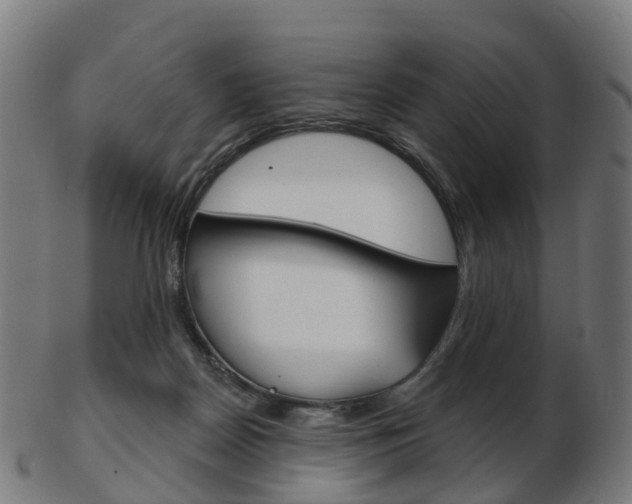 X0000103490170200809120958