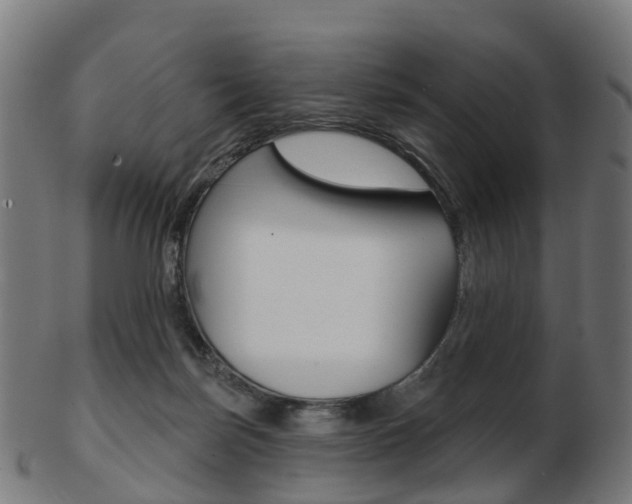 X0000103490171200809120958