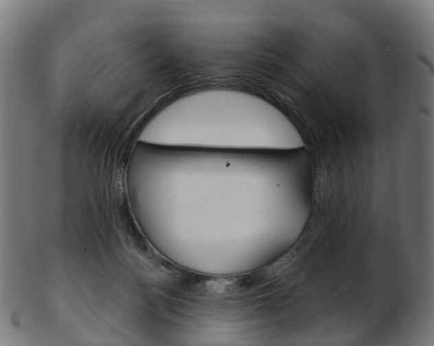 X0000103490172200809120958