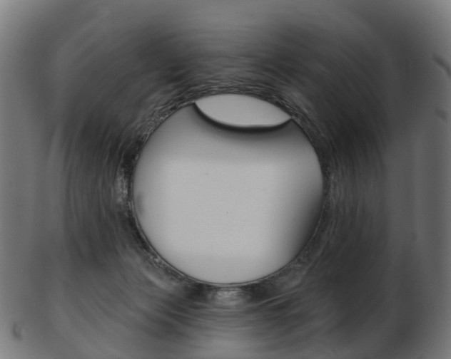X0000103490173200809120958