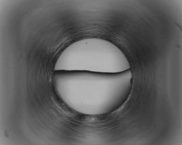 X0000103490174200809120958