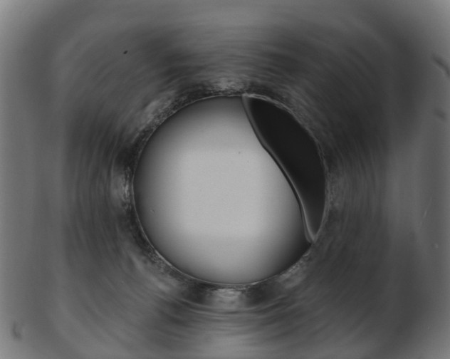X0000103490176200809120958