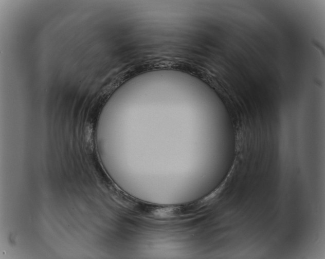X0000103490178200809120958